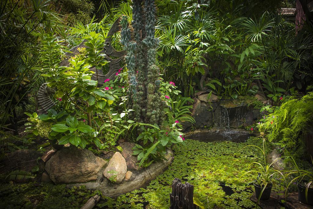 Pousada Fenix Pirenopolis Exterior photo